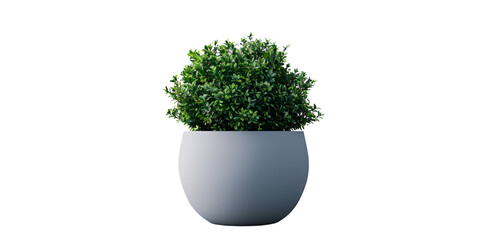 Green Potted Plant Transparent Background