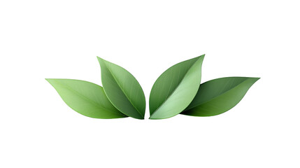 Obraz premium Green Leaves on Glitch Background