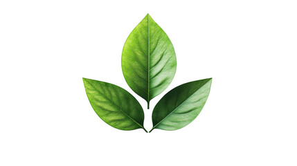 Obraz premium Green Leaves on Pixelated Background