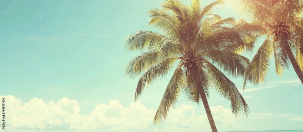 Poster copy space featuring palm trees along a tropical coast with a vintage retro summer atmosphere includ