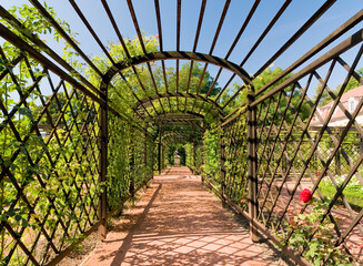 Laubengang im Schloßgarten, Dornburger Schlösser, Dornburg, Thüringen, Deutschland, Europa