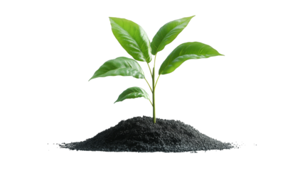 Digital Glitch Art Green Plant Sprout Growing From Black Soil