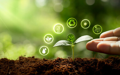 Growing plant or protecting environment icons. Sustainable environment concept. Save the earth from global warming.