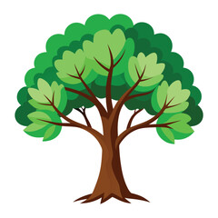 Obraz premium Tree with green leaves vector on white background