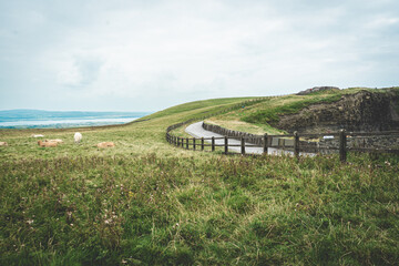 Cliffs of Moher, Ireland