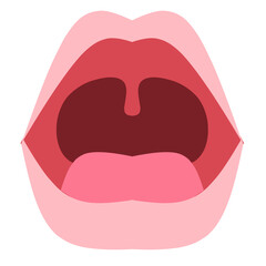 Baby teeth Illustration. Baby teething. Primary tooth development. Baby teeth chart.