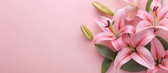 Obraz premium Flower arrangement Lily flowers against a pastel pink background Flat lay top view copyspace