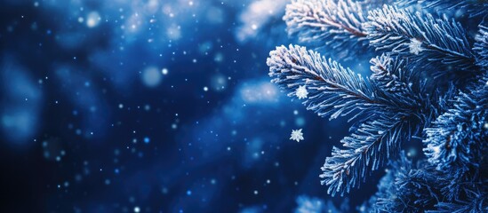 Abstract navy blue nature themed Christmas background Winter frost texture. with copy space image. Place for adding text or design
