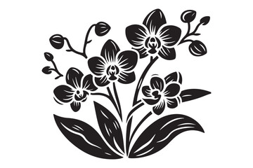 Black silhouette of orchid flowers, Vector illustration © Nasir
