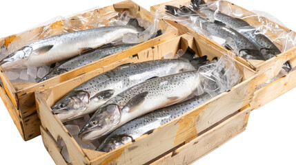 Fish crate on transparent background