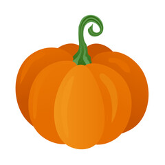 Ripe pumpkin isolated on a transparent background. Perfect for Thanksgiving, harvest holiday and Halloween. Vector illustration