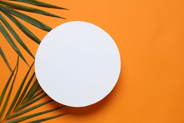 Green palm leaves on a colored background
