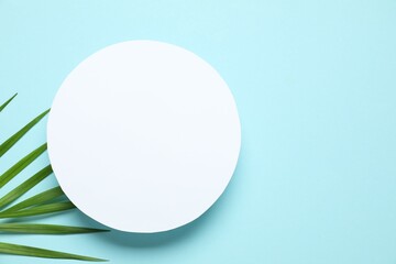 Green palm leaves on a colored background
