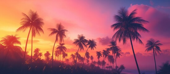 Fototapeta premium Dark outlines of coconut palm trees set against a vibrant sunset sky on a tropical island Background for vacation and exotic travel concepts. with copy space image. Place for adding text or design