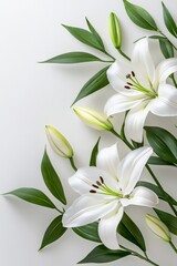 Fototapeta premium A calming, monochromatic collage featuring soft, white lilies and pale greenery