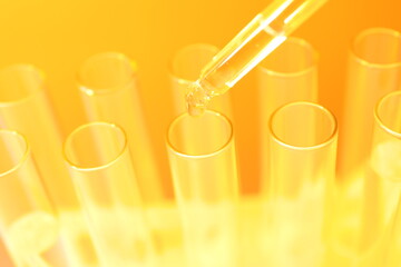 Laboratory test tubes on colored background
