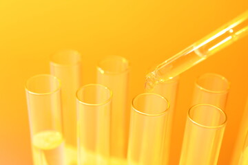 Laboratory test tubes on colored background