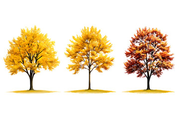 Yellow trees set isolated on white background