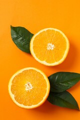 Fresh orange citrus with green leaves on color background
