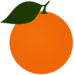 orange fruit illustration