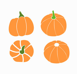 Pumpkins flat illustration