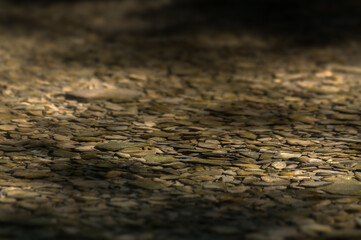 Stones in water river background nature cinematic sharp hq website free natural
