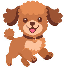 Obraz premium toy poodle_05