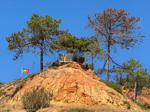 Algarve, Portugal, flag, cliffs, beach, pine trees, blue sky - Powered by Adobe
