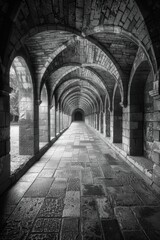 Obraz premium A mesmerizing black-and-white photograph showcasing a long, arched stone walkway with intricate brickwork, leading to a distant vanishing point