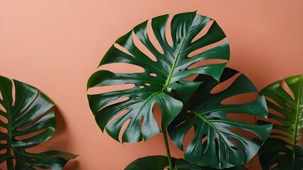 Naklejka premium city carnival mask