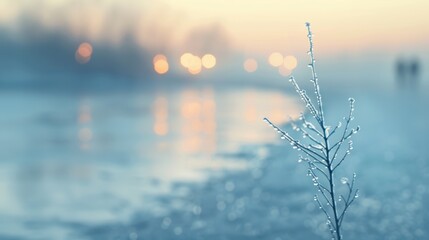 Fototapeta premium Winter branch with iced dew drops at sunset near frozen river, blue winter wonderland landscape
