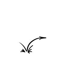 Bounch Effect Arrow 
