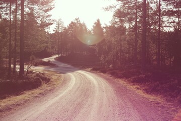 Fototapeta premium Sunrise in the mystic Harzer Forest