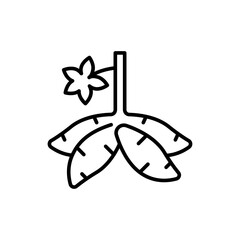 Cassava outline icons, minimalist vector illustration ,simple transparent graphic element .Isolated on white background