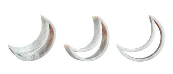 Set of marble crescent moon shape isolated on transparent white background, png