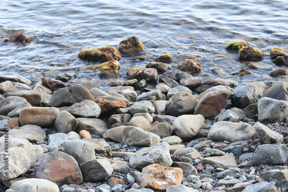 Wall mural A seagull perches on a rock near the ocean, perfect for coastal or nature scenes