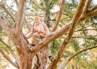 A young child climbs comfortably on tree branches, dressed warmly in a pink jacket and beige pants,...