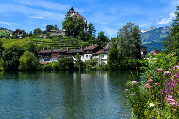 alps, antique, architecture, art, attraction, background, castle, chalet, city, craft, decoration, drone view, excursion, famous, forest, fort, garden, guest, hearth, hike, historic, history, lake, la