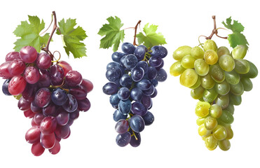 Fototapeta premium Collection set of green, red, black grape cut out transparent isolated on white background, PNG image