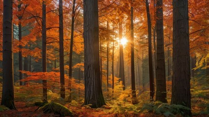 Obraz premium radiant sunset: a symphony of colors in nature's tranquility