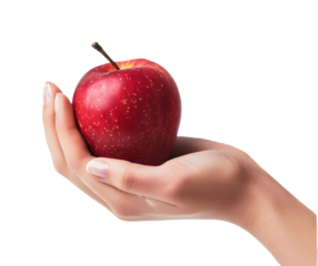 Hand holding a red apple fruit cut out transparent isolated on white background PNG image