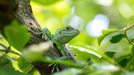 Green lizard perched on tree branch in natural habitat amidst lush greenery