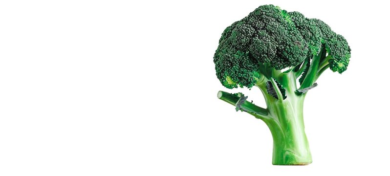 Freshly harvested green broccoli florets in a tight cluster photographed against a clean white background  The broccoli has a vibrant