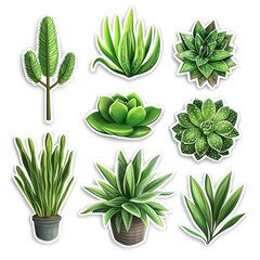 A vibrant collection of various green plants and succulents, ideal for nature-inspired designs or botanical themes.