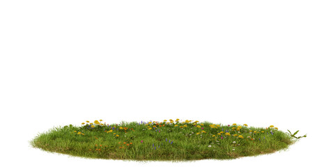 Green Grass Patch Isolated on Transparent Background, Nature Texture