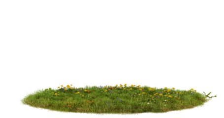 Green Grass Patch Isolated on Transparent Background, Nature Texture