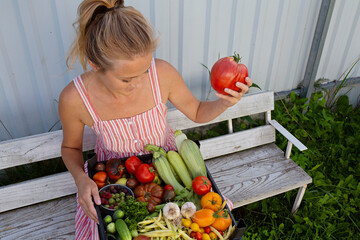 A beautiful girl is sitting on a bench in the park, holding a huge red tomato in her hand. There are fresh vegetables in a plastic basket: tomatoes, cucumbers and zucchini, peas