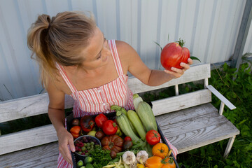 A beautiful girl sitting on a bench with a basket of vegetables. She holds a big red tomato in her hand, grown with her own hands