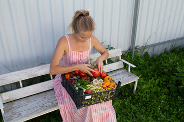 A beautiful girl is sitting on a bench. In her hands is a huge red tomato, in the basket on her hands are collected vegetables