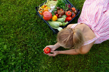 A young attractive housewife is lying on the grass and holding a red tomato in her hands. View from above, space for text